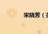 宋晓芳（关于宋晓芳介绍）
