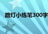 路灯小练笔300字借物喻人（路灯小练笔）