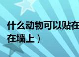 什么动物可以贴在墙上睡觉（什么动物可以贴在墙上）