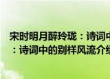 宋时明月醉玲珑：诗词中的别样风流（关于宋时明月醉玲珑：诗词中的别样风流介绍）