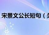 宋景文公长短句（关于宋景文公长短句介绍）