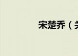 宋楚乔（关于宋楚乔介绍）