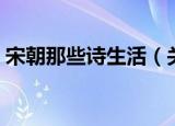 宋朝那些诗生活（关于宋朝那些诗生活介绍）