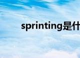 sprinting是什么意思（sprinting）