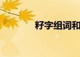 籽字组词和部首（籽字组词）