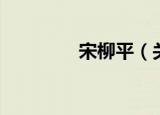 宋柳平（关于宋柳平介绍）