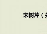 宋树芹（关于宋树芹介绍）