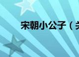 宋朝小公子（关于宋朝小公子介绍）