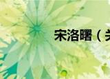 宋洛曙（关于宋洛曙介绍）