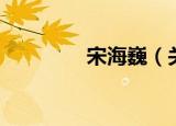 宋海巍（关于宋海巍介绍）