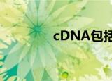 cDNA包括（cdna是什么）