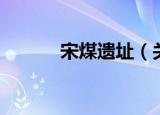 宋煤遗址（关于宋煤遗址介绍）