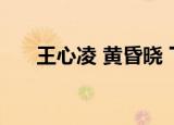 王心凌 黄昏晓 下载（王心凌 黄昏晓）