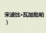 宋波比·瓦加批帕（关于宋波比·瓦加批帕介绍）