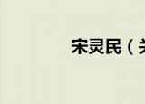 宋灵民（关于宋灵民介绍）