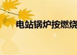 电站锅炉按燃烧方式分为（电站锅炉）
