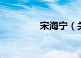 宋海宁（关于宋海宁介绍）