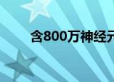  含800万神经元的类脑芯片系统问世