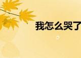我怎么哭了歌词（哭了歌词）