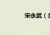 宋永武（关于宋永武介绍）
