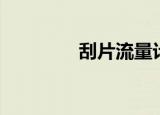 刮片流量计（吹扫流量计）