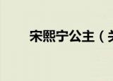 宋熙宁公主（关于宋熙宁公主介绍）