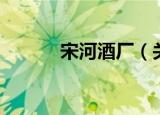 宋河酒厂（关于宋河酒厂介绍）