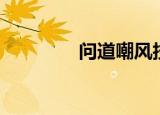 问道嘲风技能（问道嘲风）
