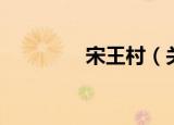 宋王村（关于宋王村介绍）