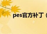 pes官方补丁（pes2010德甲补丁）
