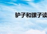驴子和骡子读后感（驴子和骡子）