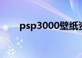psp3000壁纸资源（psp3000壁纸）
