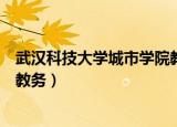 武汉科技大学城市学院教务处官网（武汉科技大学城市学院教务）