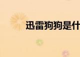 迅雷狗狗是什么（迅雷狗狗搜索）