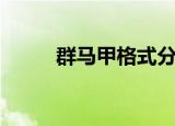 群马甲格式分男女简单（群马甲）