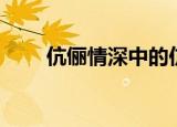 伉俪情深中的伉俪是指（伉俪情深）