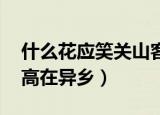 什么花应笑关山客,每岁登高在异乡（每岁登高在异乡）