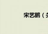 宋艺鹏（关于宋艺鹏介绍）