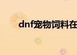 dnf宠物饲料在哪买（dnf宠物饲料）