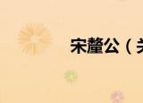 宋釐公（关于宋釐公介绍）