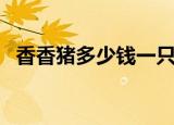 香香猪多少钱一只（香猪种猪多少钱一只）