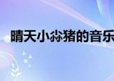 晴天小尛猪的音乐电台（晴天小猪主题曲）