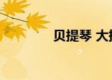 贝提琴 大提琴（提琴贝贝）