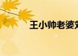 王小帅老婆刘璇（王小帅老婆）
