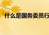 什么是国务委员行程码（什么是国务委员）