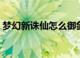 梦幻新诛仙怎么御剑飞行（梦幻诛仙飞行旗）