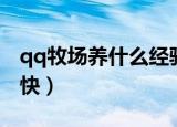 qq牧场养什么经验最高（qq牧场养什么升级快）