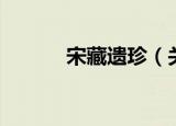 宋藏遗珍（关于宋藏遗珍介绍）