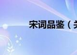 宋词品鉴（关于宋词品鉴介绍）