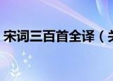 宋词三百首全译（关于宋词三百首全译介绍）